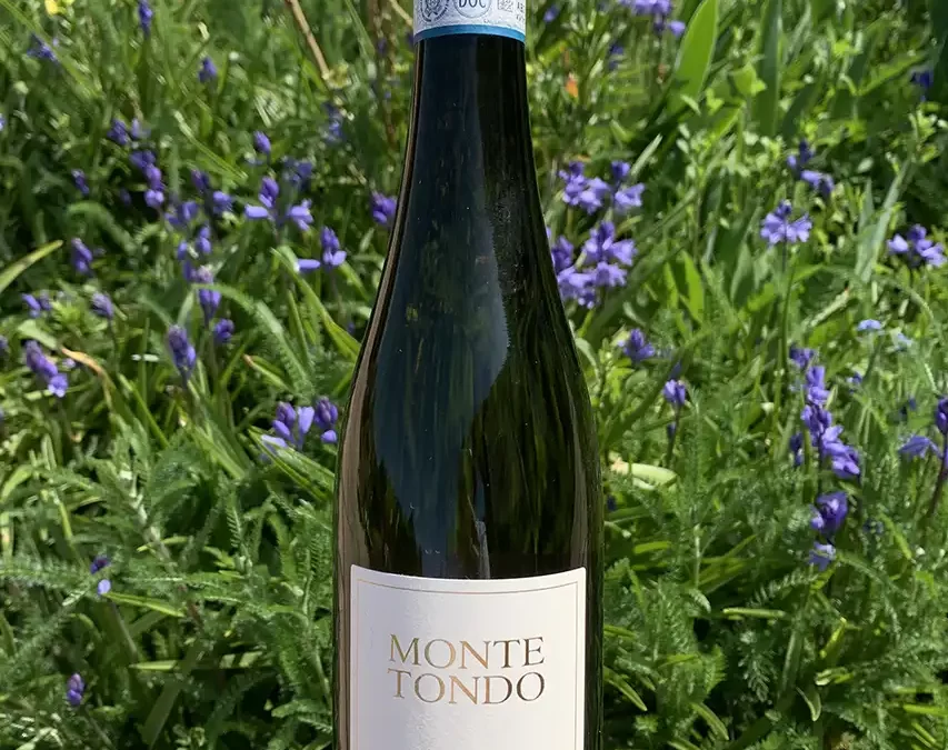 May Wine of the Month – a delicious Italian White wine