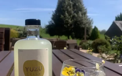 May Cocktail of the Month – Yuzo Zing