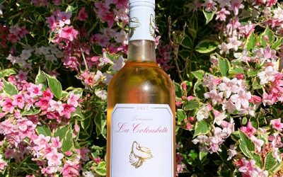 June wine of the Month!!!  ‘La Colombette Rosé’