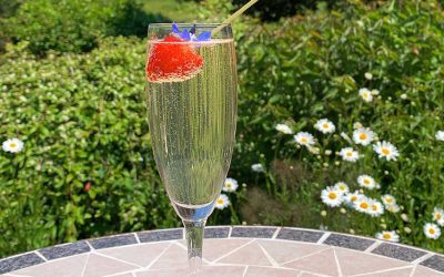 June Cocktail of the Month!! ‘Elderflower Gin Fizz’