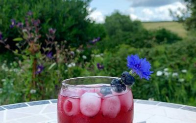 July Cocktail of the Month Bockhampton Blueberry Bliss