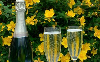 July Wine of the Month Bride Valley Cremant