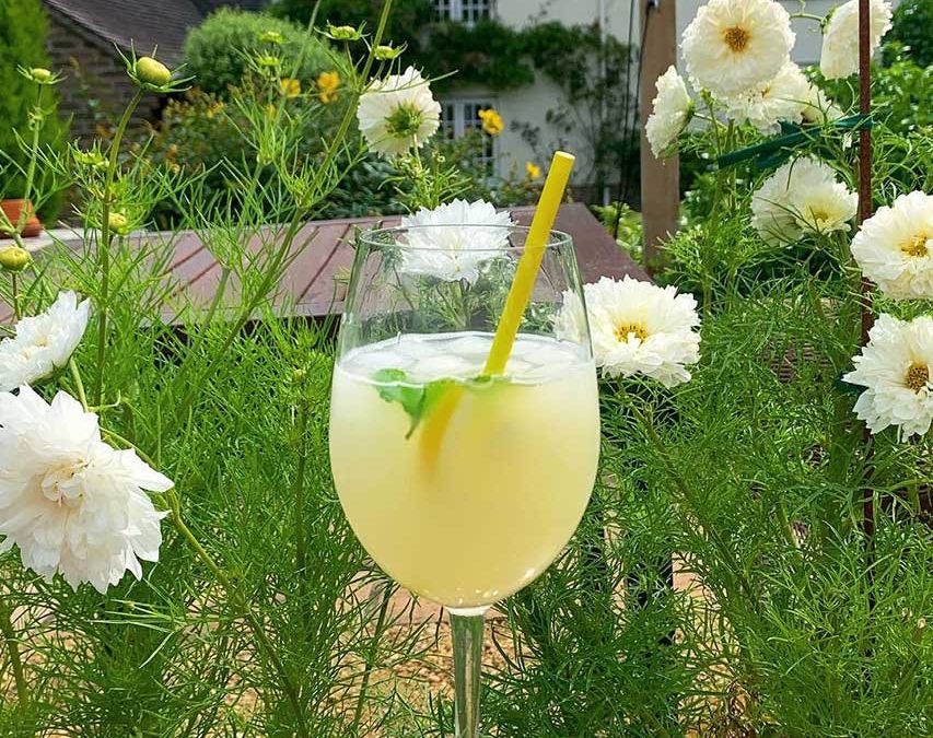 August cocktail of the month – Bello Limoncello