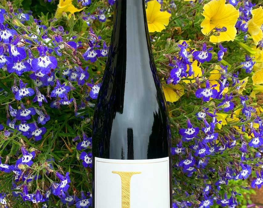 August Wine of the Month – 2020 Estate Riesling, Ernst Loosen